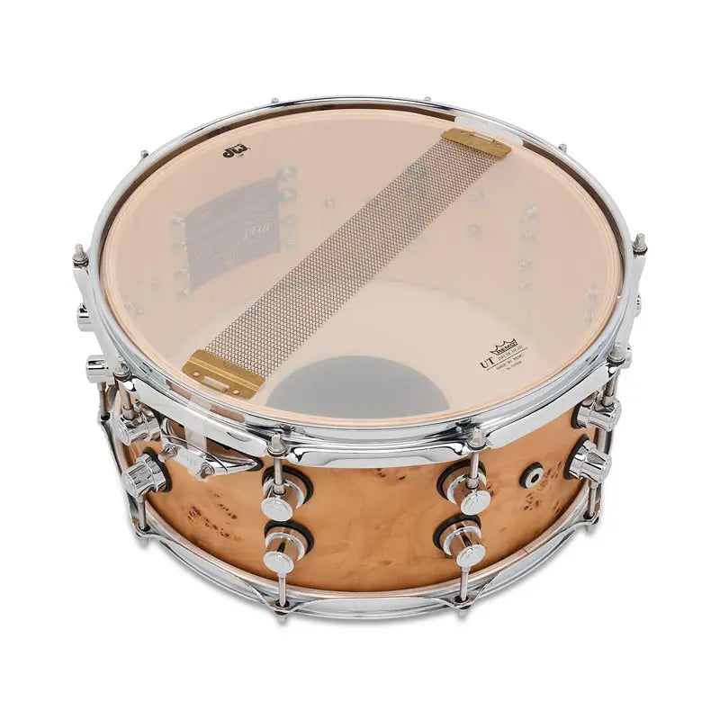EMBARGOED - ACTIVATE OCT 13 - DW Design Limited Edition Snare Drum 14x6.5 Natural Mappa Burl - Drum Center Of Portsmouth
