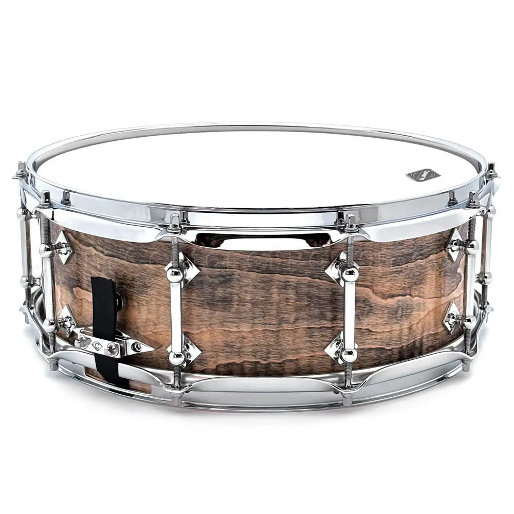Craviotto President's Collection Curly Maple Snare Drum 14x5.5 Light Ebonized - Drum Center Of Portsmouth